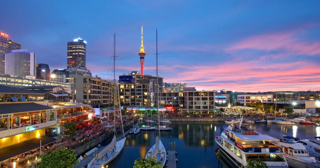 Professional Private Driver Auckland